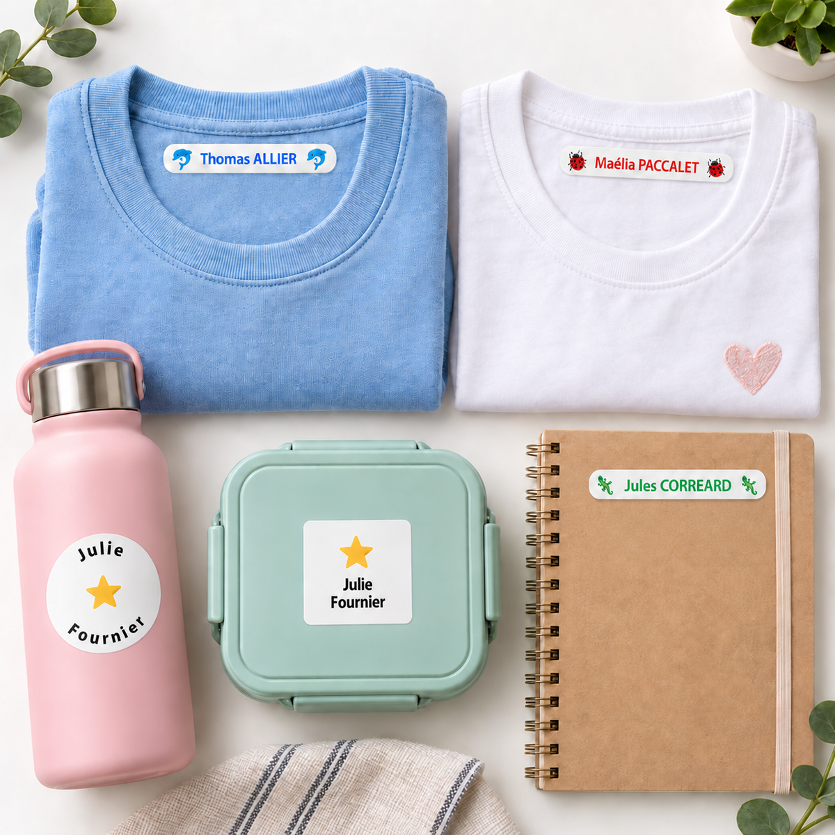 Pack Essentiel